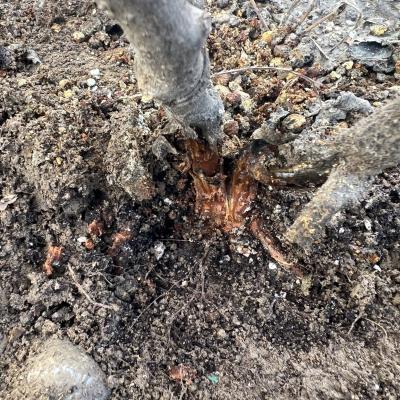 Πρόβλημα από λίπανση